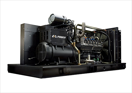 Gas Generator Set